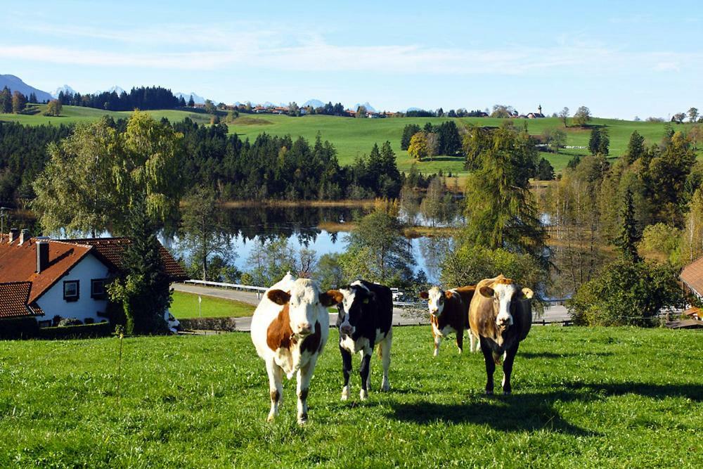 Gasthof "Zum Strauss" Wildsteig ภายนอก รูปภาพ